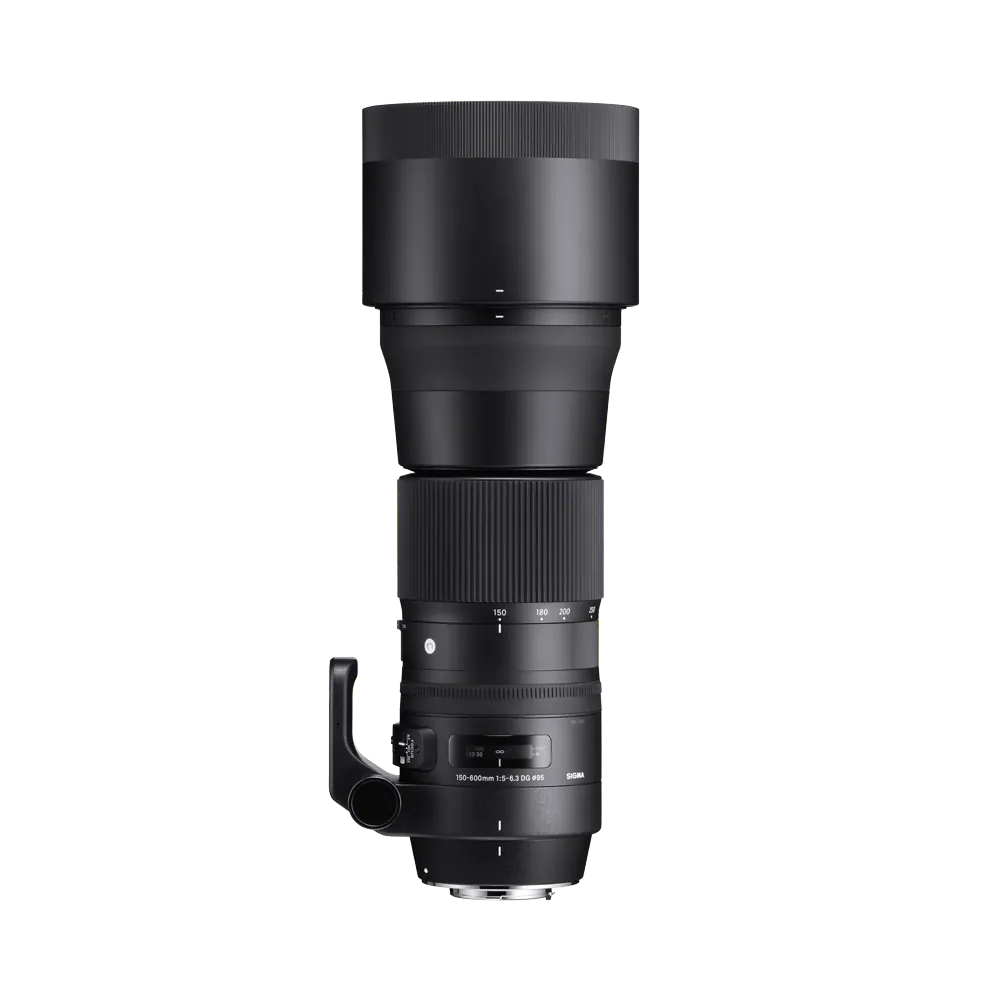150-600mm F5-6.3 DG OS HSM | C - Sigma