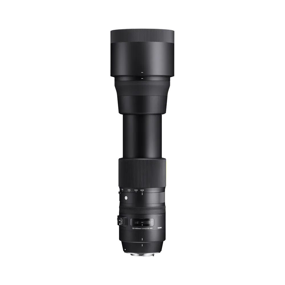 Sigma 150-600mm F5-6.3 DG OS HSM ニコンF 150-600mm F5-6.3 DG OS HSM | C - Sigma