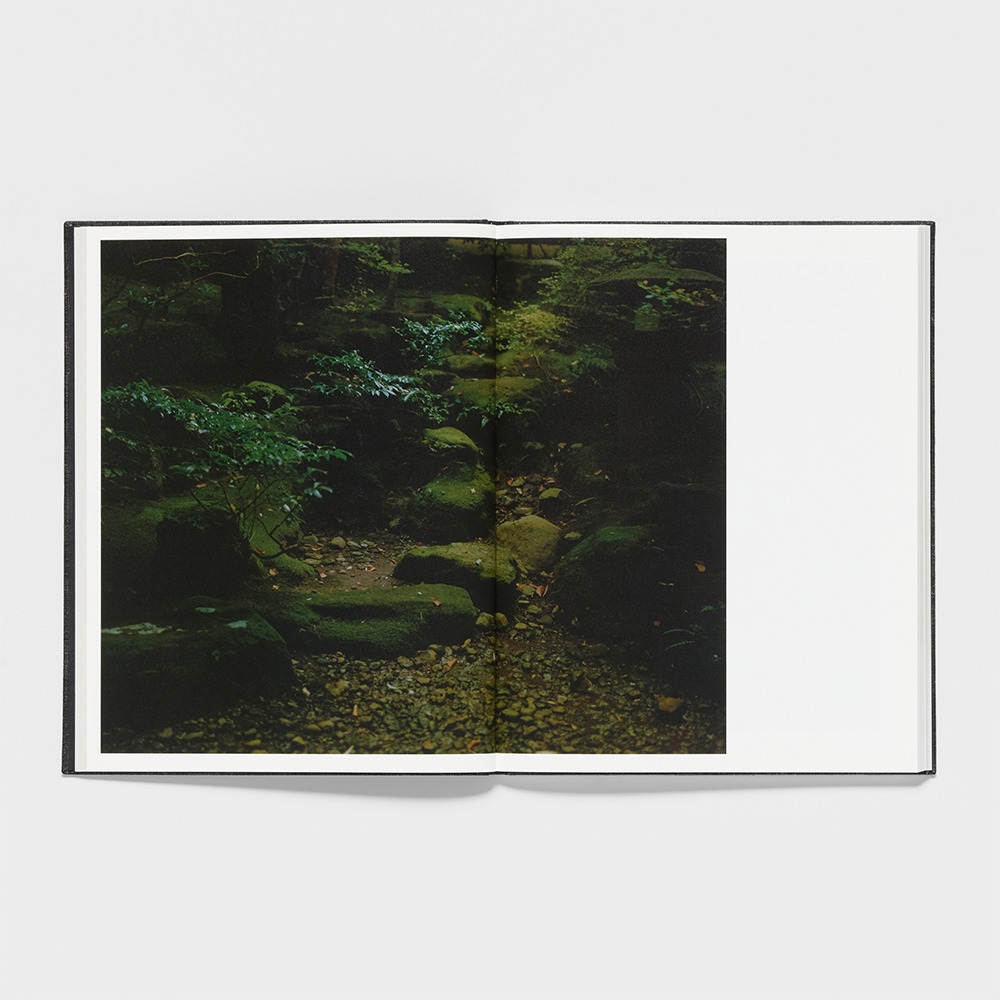 Songen - Julia Hetta