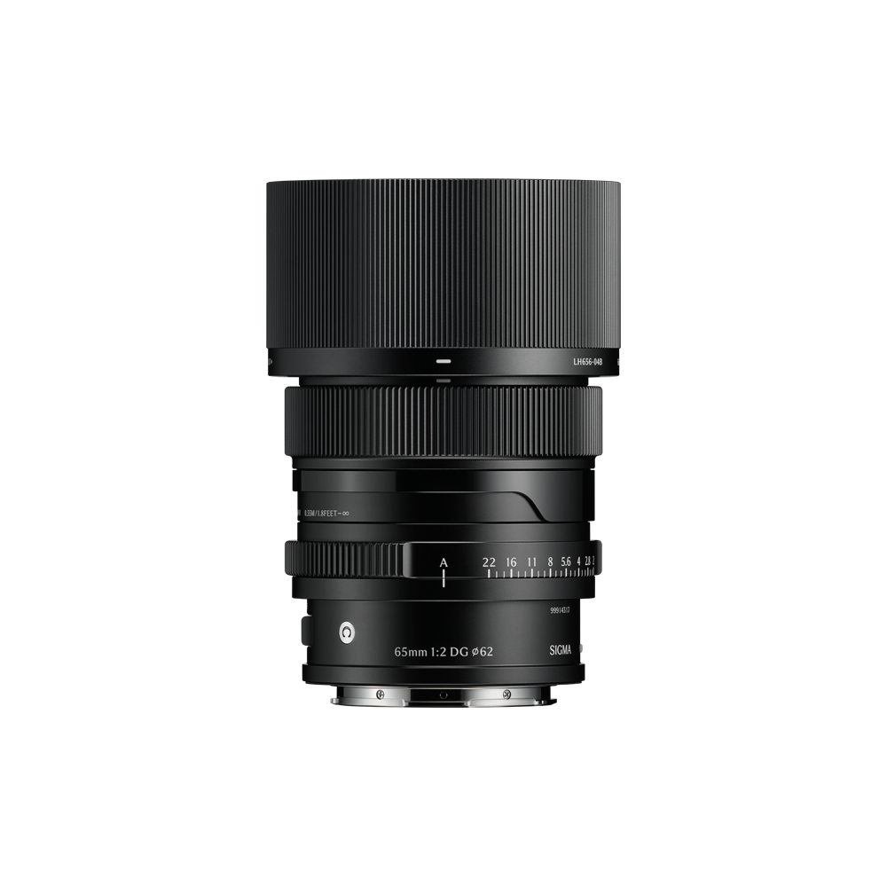 65mm F2 DG | Contemporary - E-Mount (schwarz)