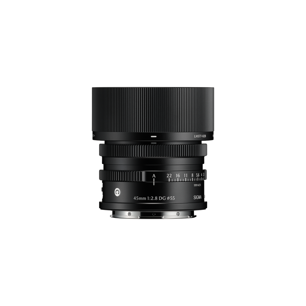 45mm F2.8 DG | Contemporary - E-Mount (schwarz)
