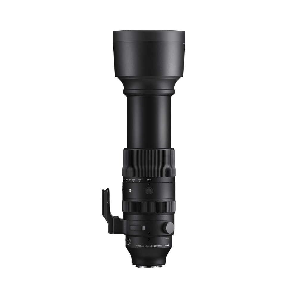 60-600mm F4.5-6.3 DG DN OS