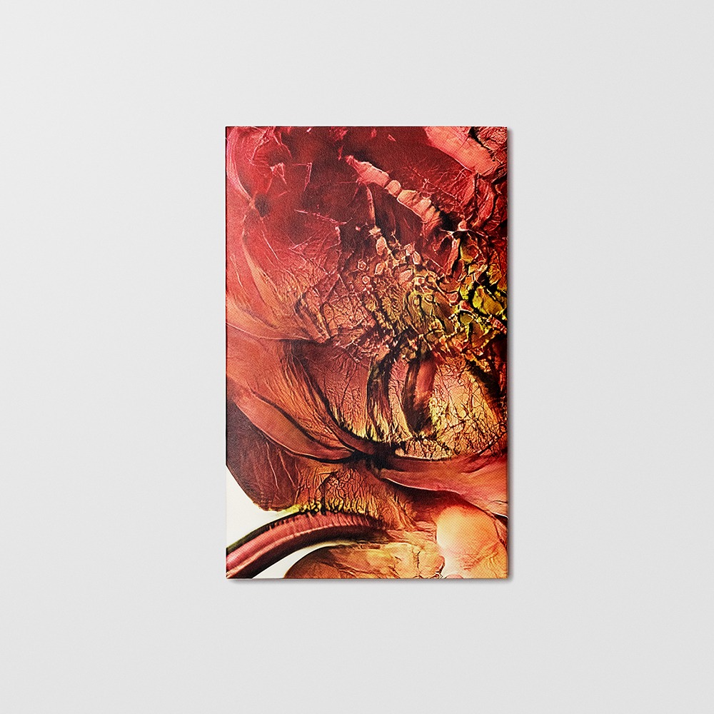 Hanataba - Sølve Sundsbø