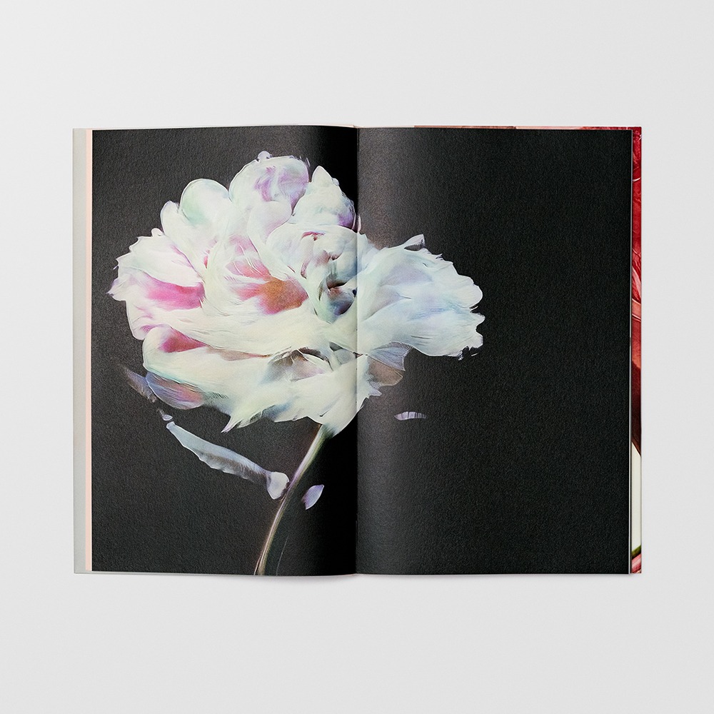 Hanataba - Sølve Sundsbø