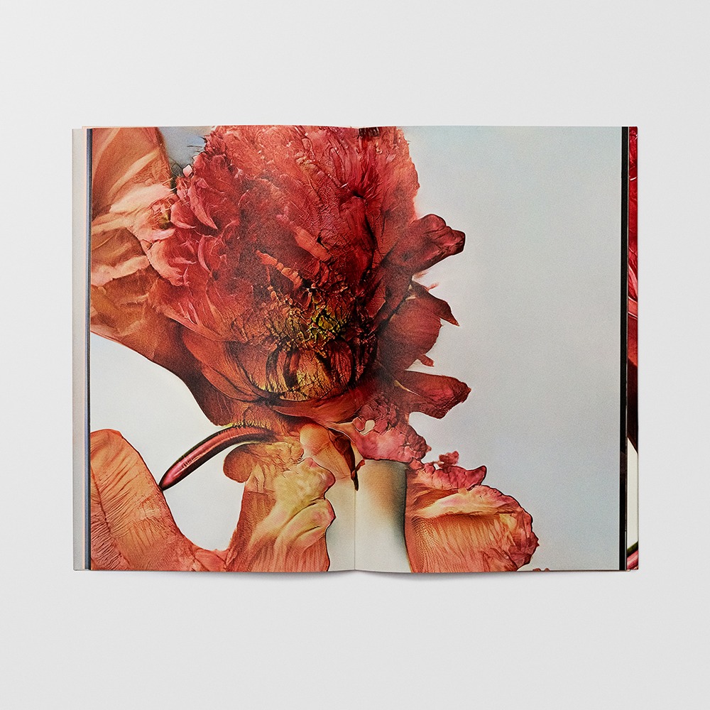 Hanataba - Sølve Sundsbø