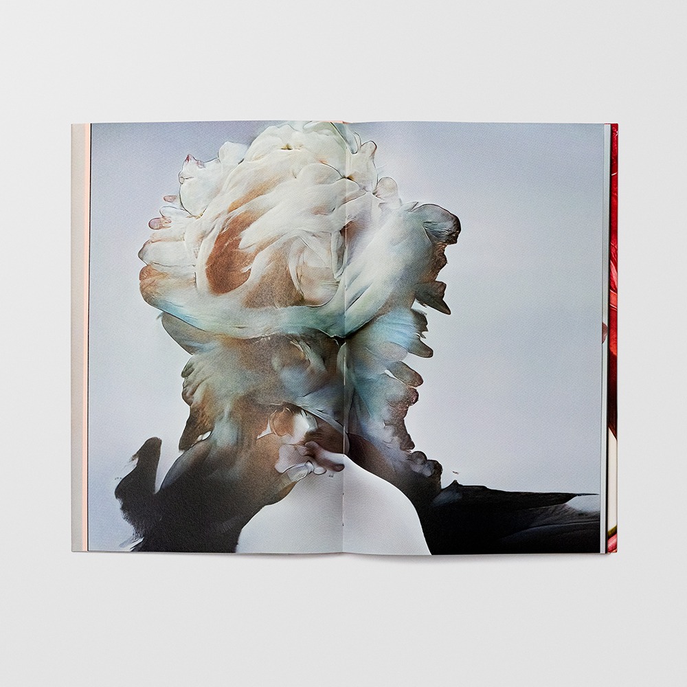 Hanataba - Sølve Sundsbø