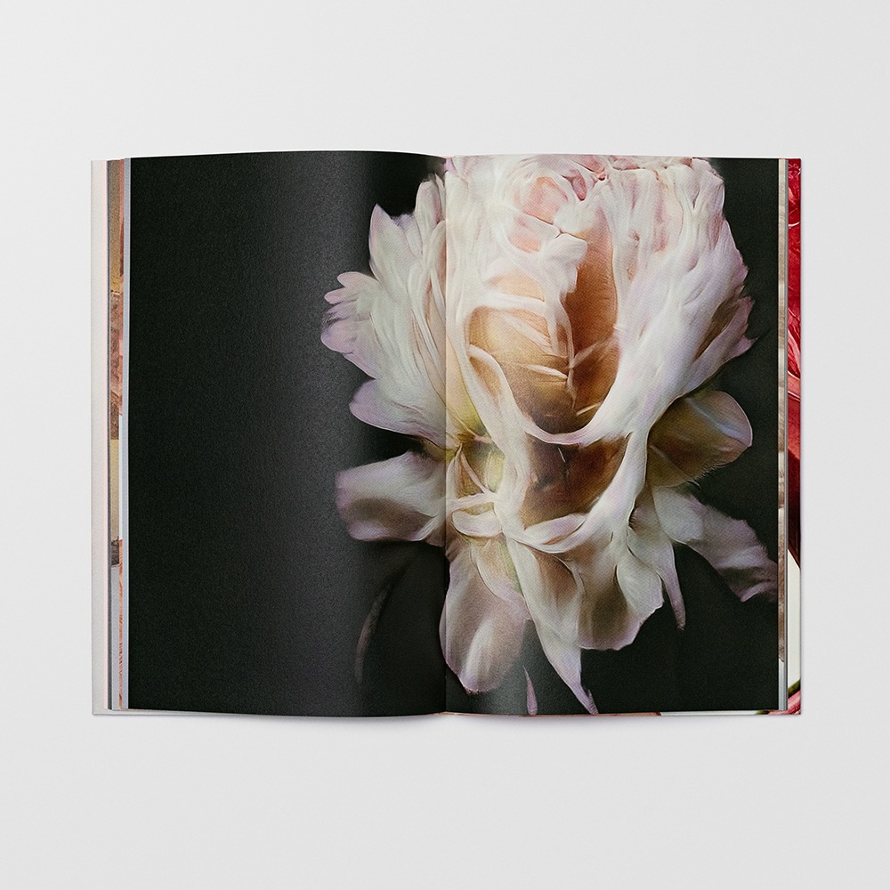 Hanataba - Sølve Sundsbø