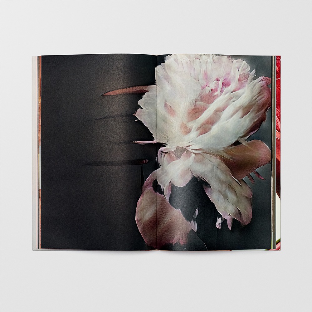 Hanataba - Sølve Sundsbø