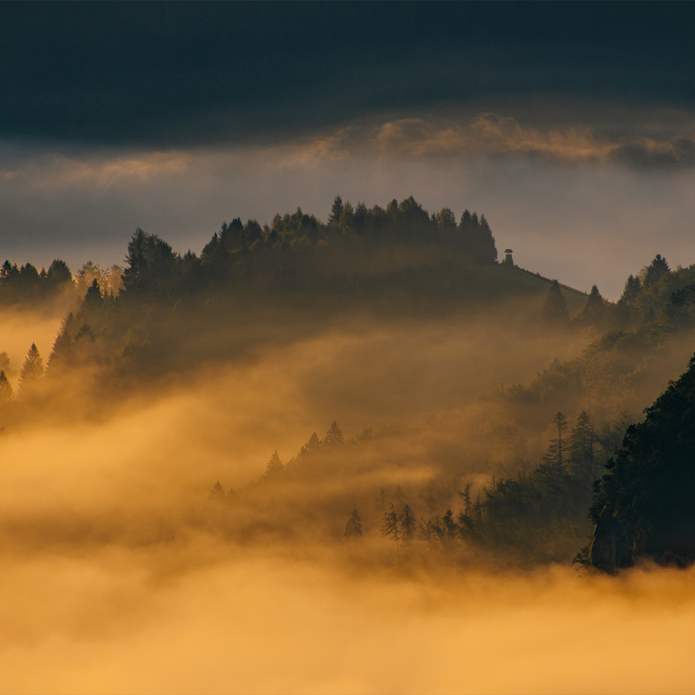 Sloweniens Vielfalt im Fokus