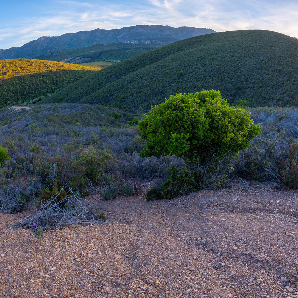 Unterwegs in der Extremadura zur Astrofotografie