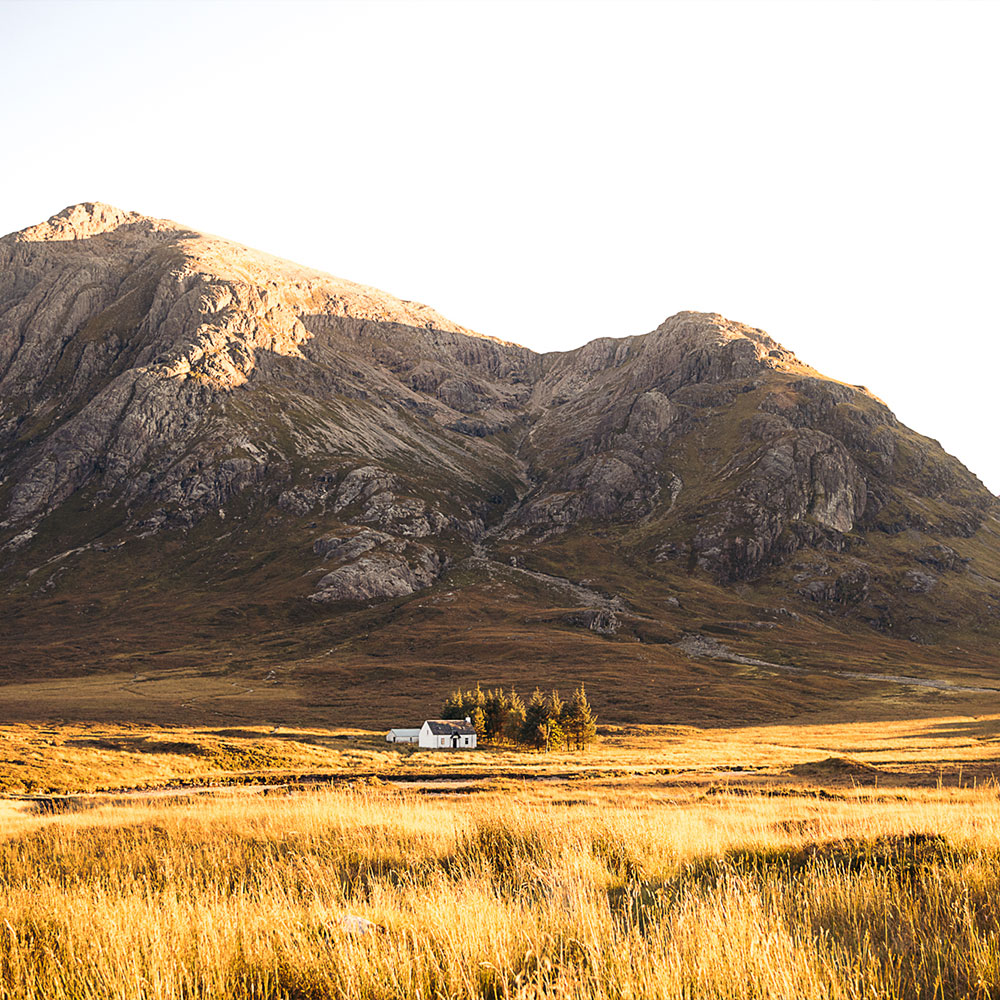 Schottische Sehnsucht mit RF-Bajonett