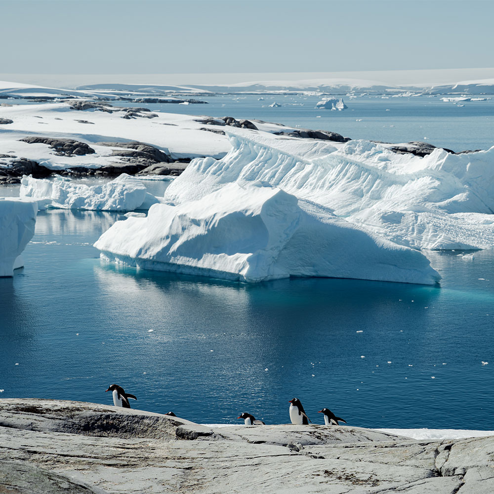 Ein Objektiv für fast alles: Unterwegs in der Antarktis
